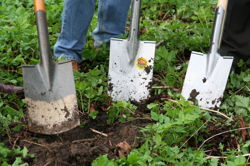 pepiniere-CAGNES SUR MER-min_work-lawn-flower-tool-green-backyard-1103633-pxhere.com